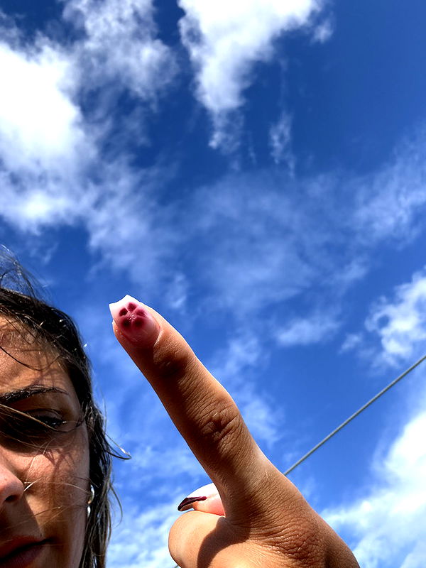 emelye.ender image ~ Altpins