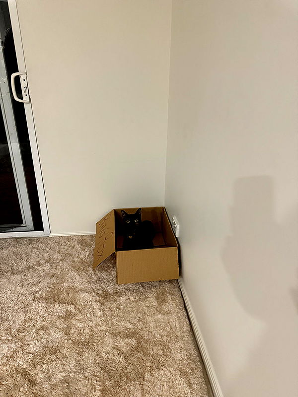 emelye.ender image ~ Altpins