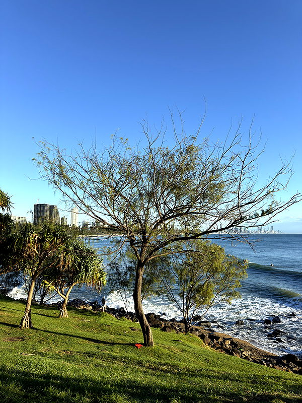 emelye.ender image ~ Altpins