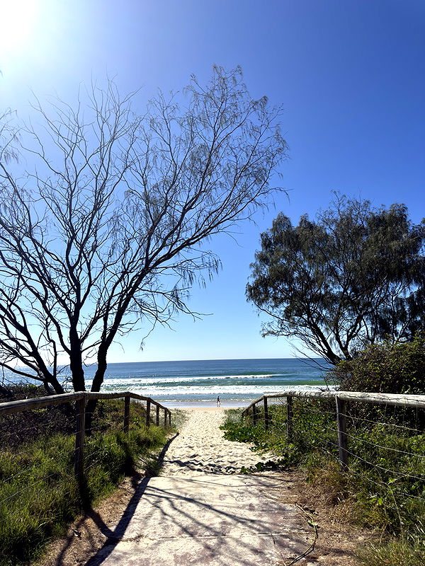 emelye.ender image ~ Altpins