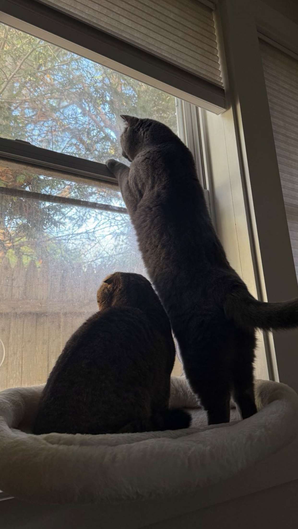 emelye.ender snapchat image archive image