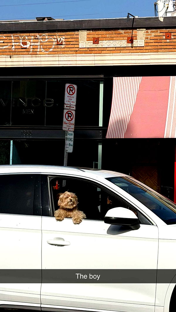 emelye.ender image ~ Altpins