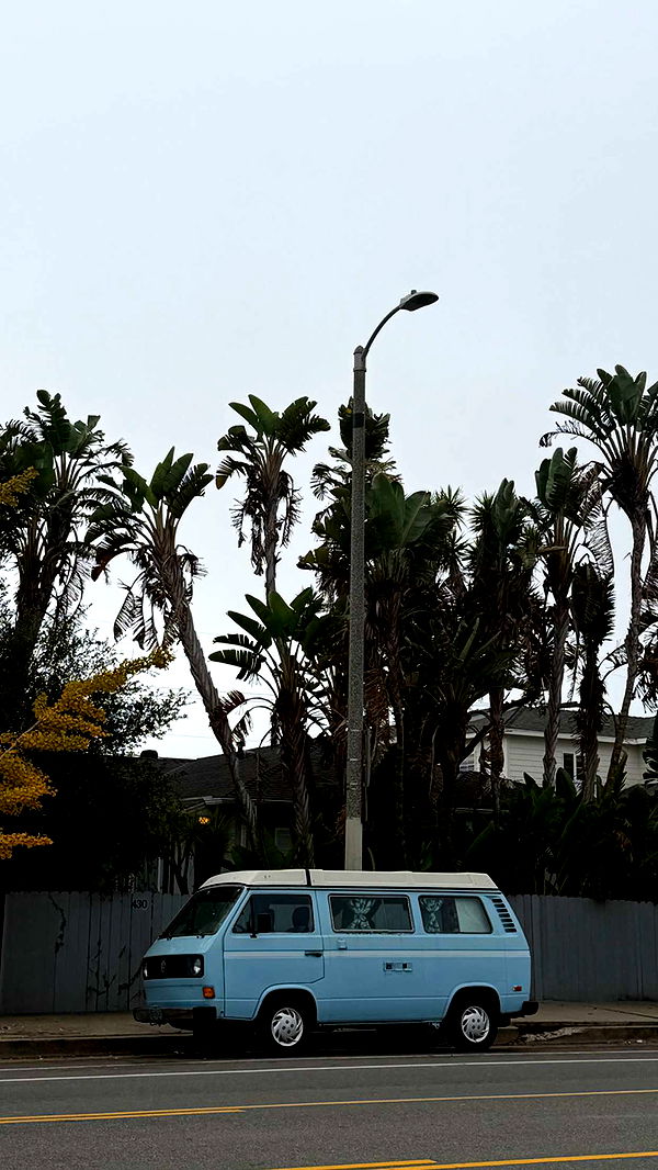 emelye.ender image ~ Altpins