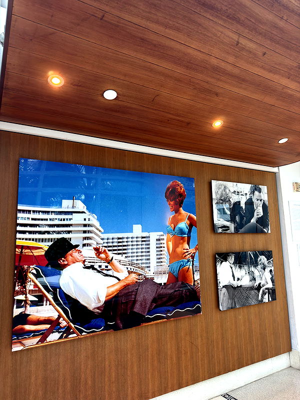 emelye.ender image ~ Altpins