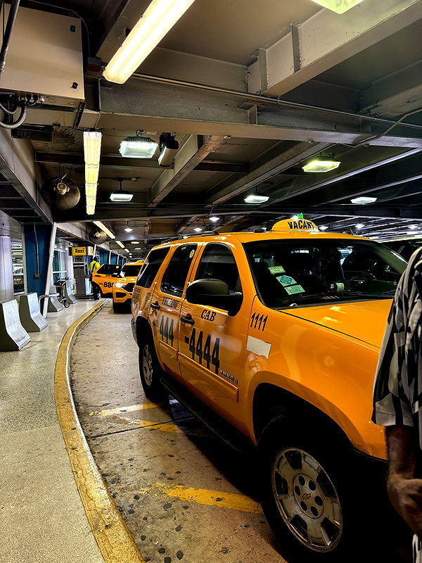 emelye.ender image ~ Altpins