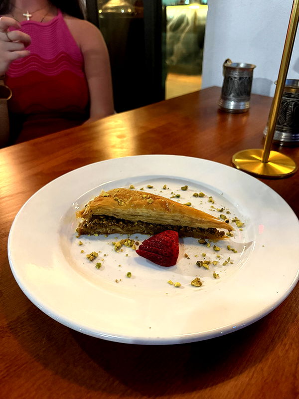 emelye.ender image ~ Altpins