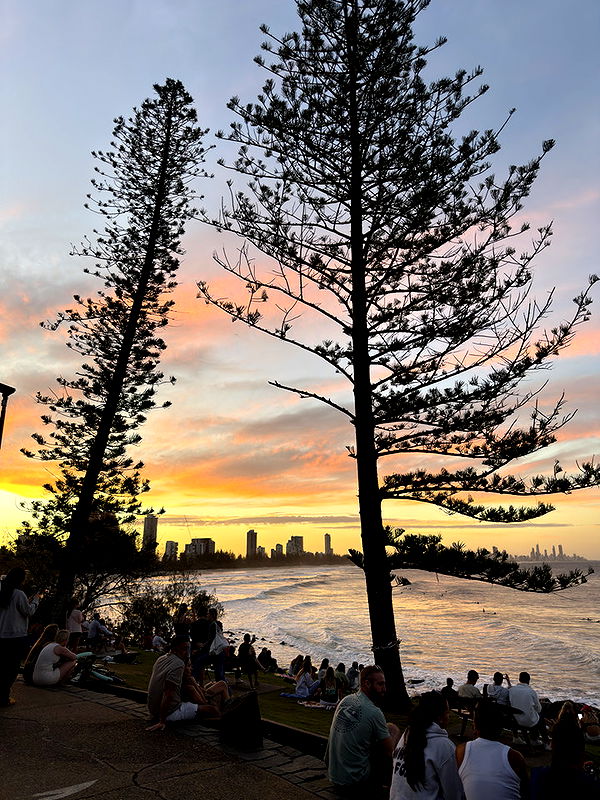 emelye.ender image ~ Altpins