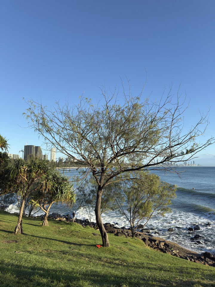 emelye.ender snapchat image archive image