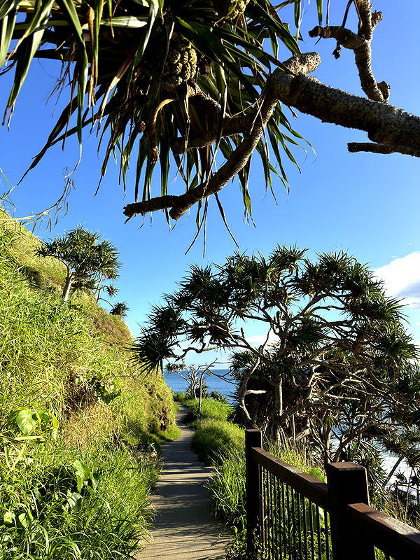 emelye.ender image ~ Altpins