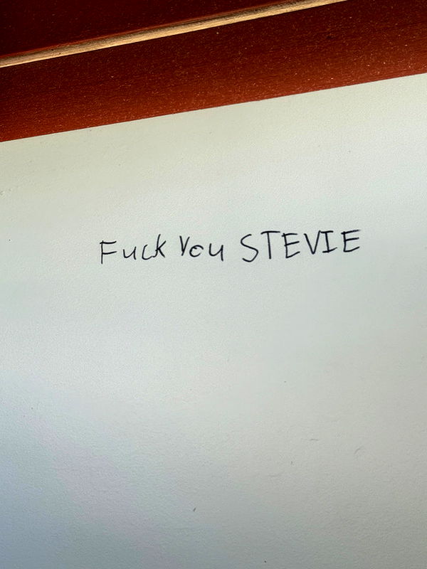 emelye.ender image ~ Altpins