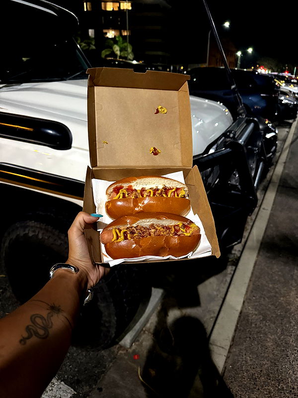 emelye.ender image ~ Altpins