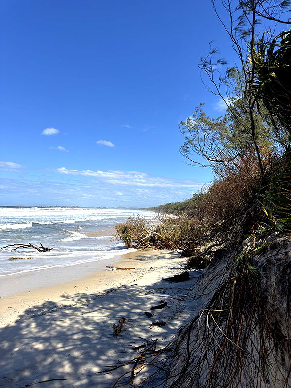 emelye.ender image ~ Altpins