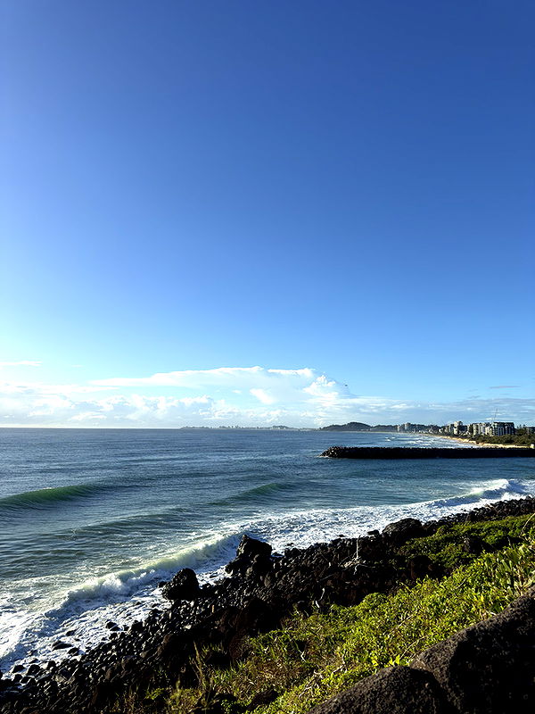 emelye.ender image ~ Altpins