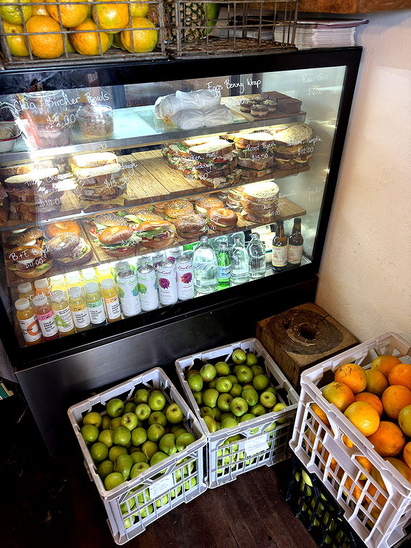 emelye.ender image ~ Altpins