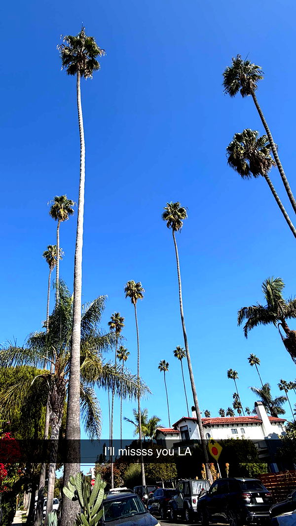 emelye.ender image ~ Altpins