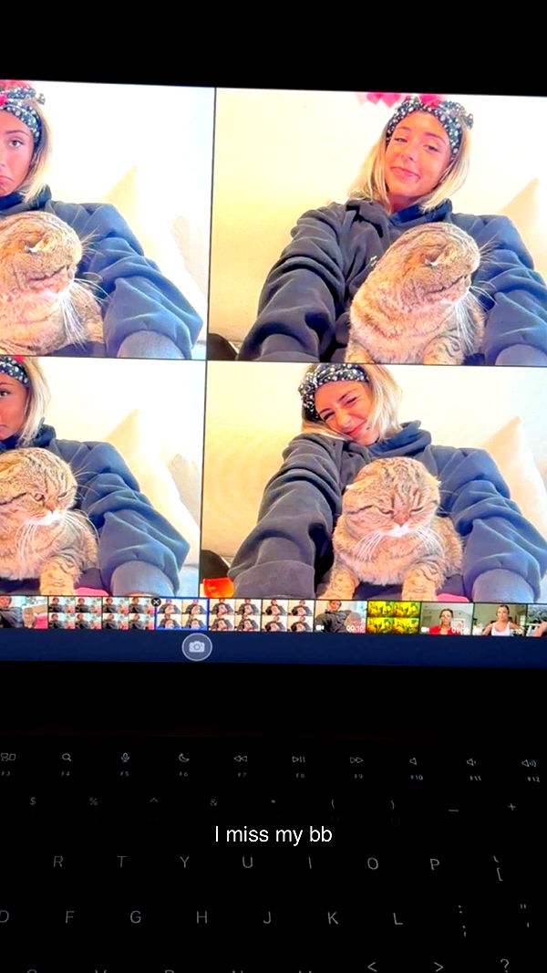 emelye.ender image ~ Altpins