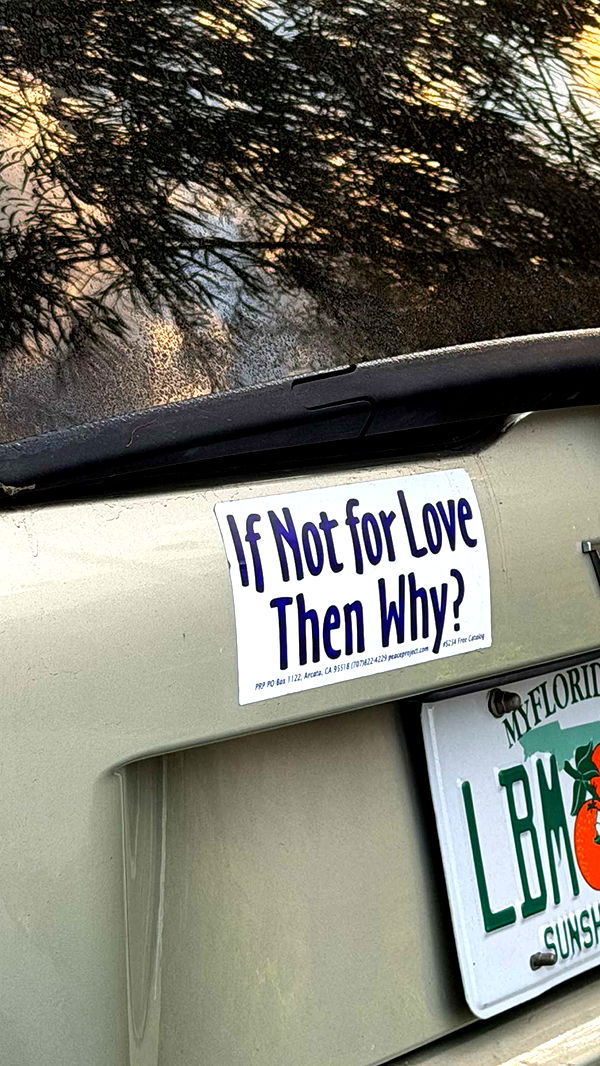 emelye.ender image ~ Altpins