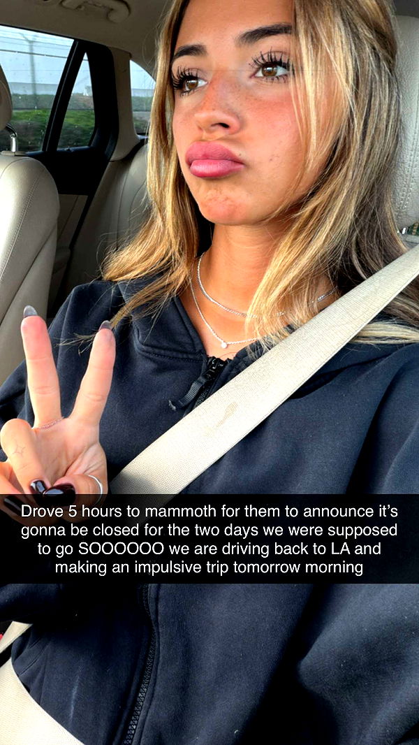 emelye.ender image ~ Altpins