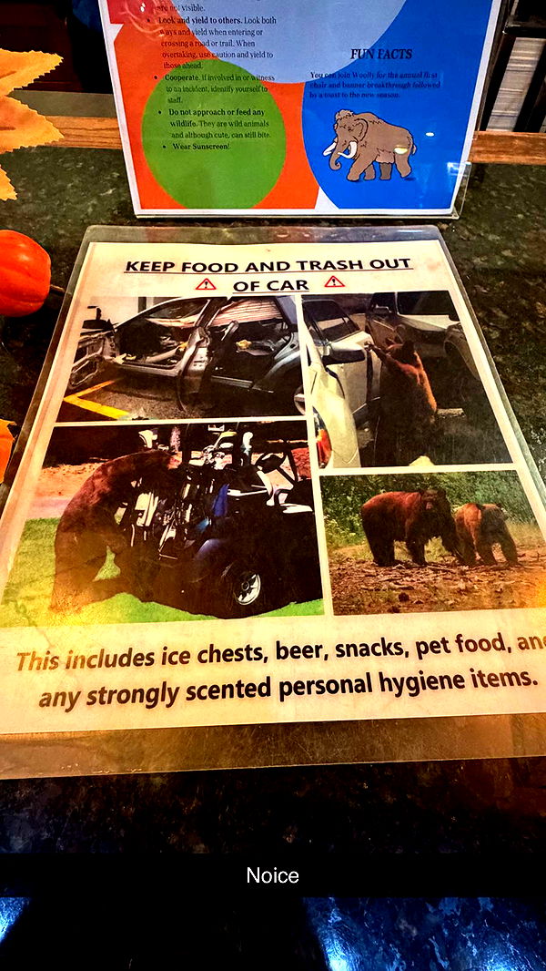 emelye.ender image ~ Altpins