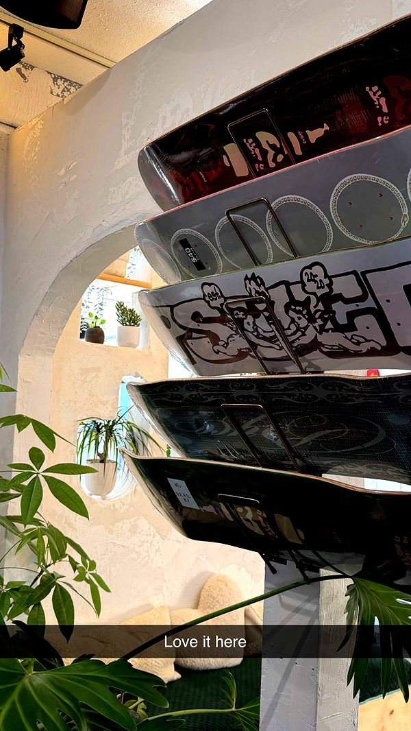 emelye.ender image ~ Altpins