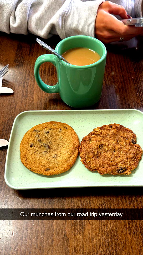 emelye.ender image ~ Altpins