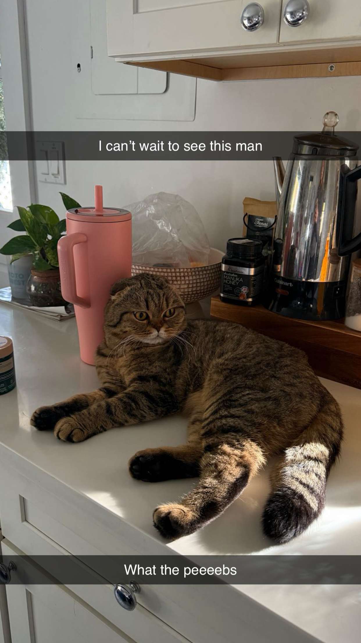 emelye.ender snapchat image archive image