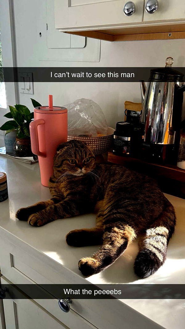 emelye.ender image ~ Altpins