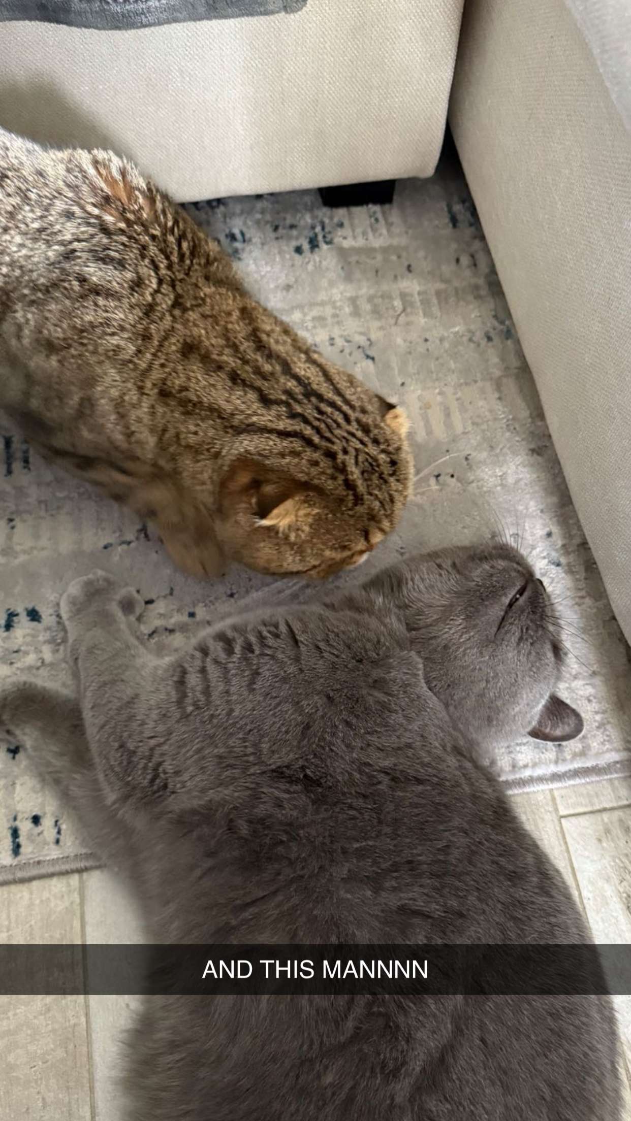 emelye.ender snapchat image archive image