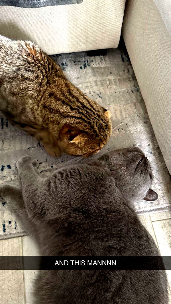 emelye.ender image ~ Altpins