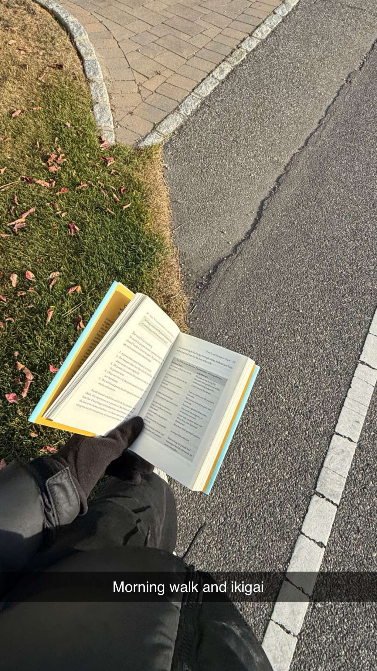 emelye.ender snapchat image archive image