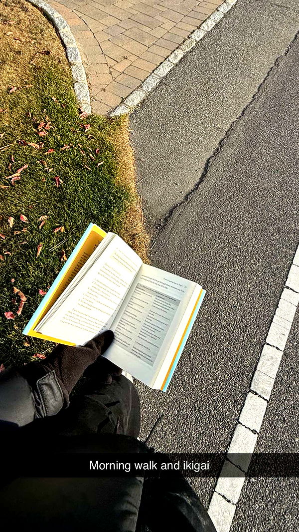 emelye.ender image ~ Altpins