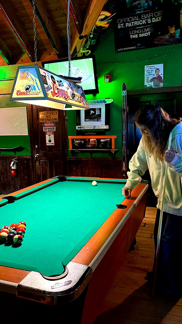 emelye.ender image ~ Altpins