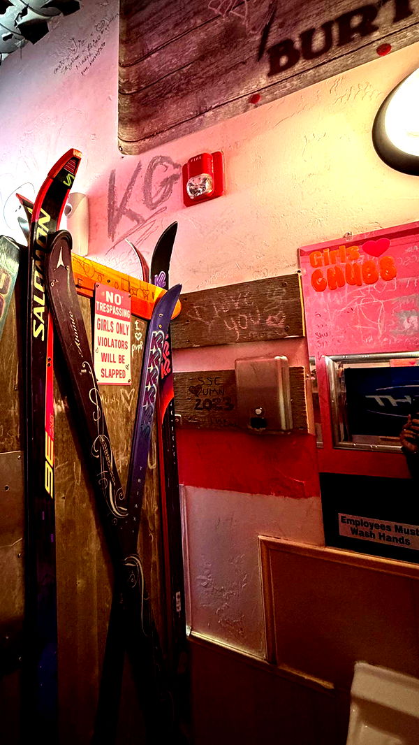 emelye.ender image ~ Altpins