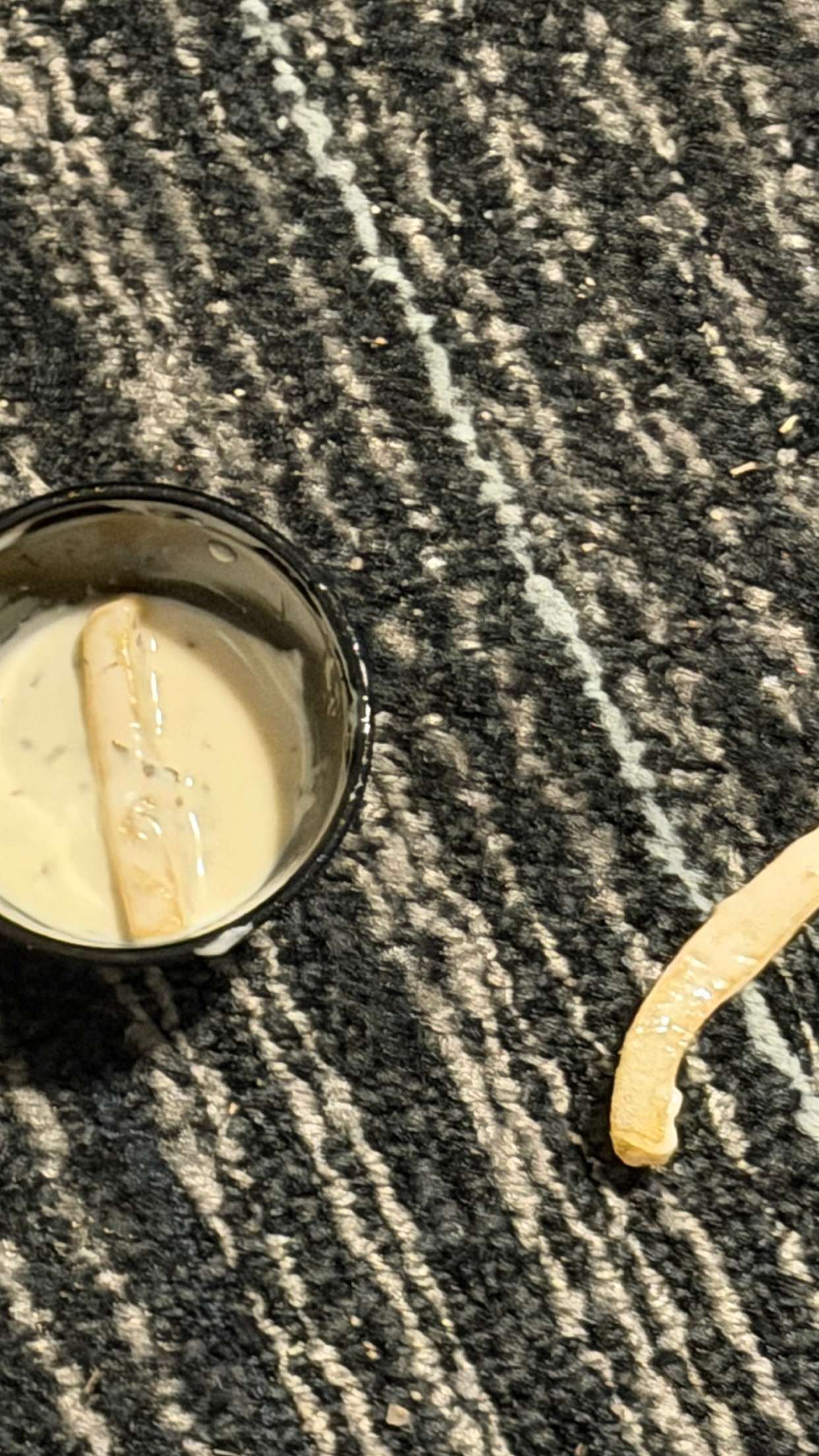 emelye.ender snapchat image archive image