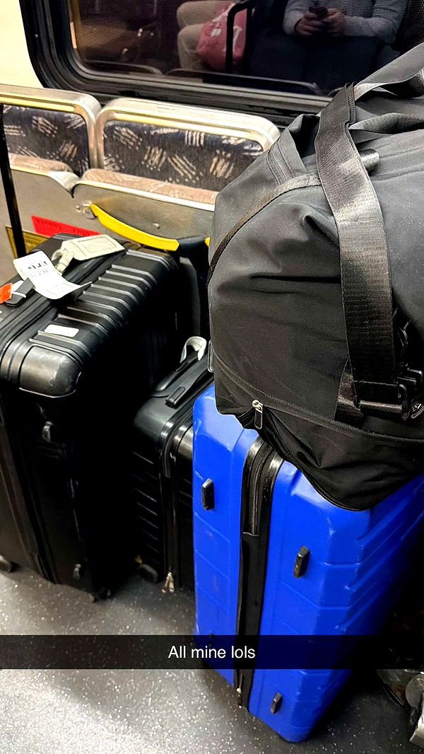 emelye.ender image ~ Altpins