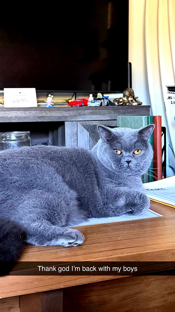 emelye.ender image ~ Altpins