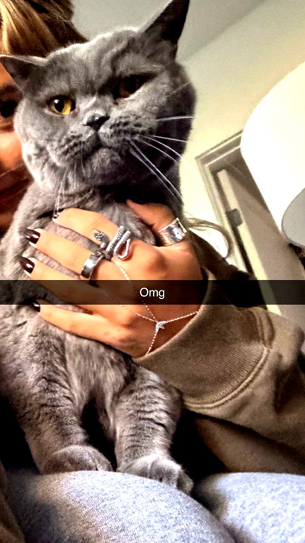 emelye.ender image ~ Altpins