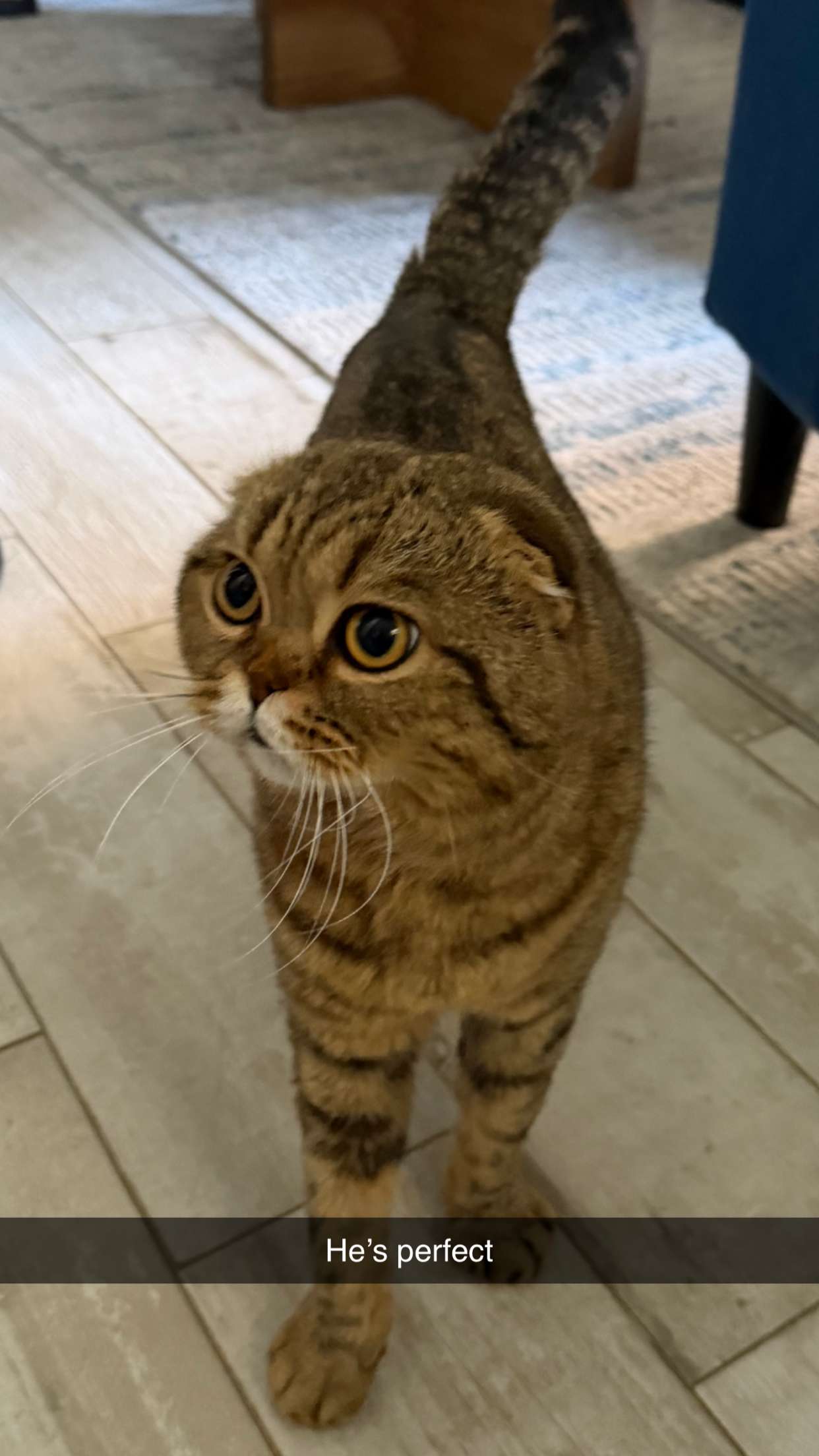 emelye.ender snapchat image archive image