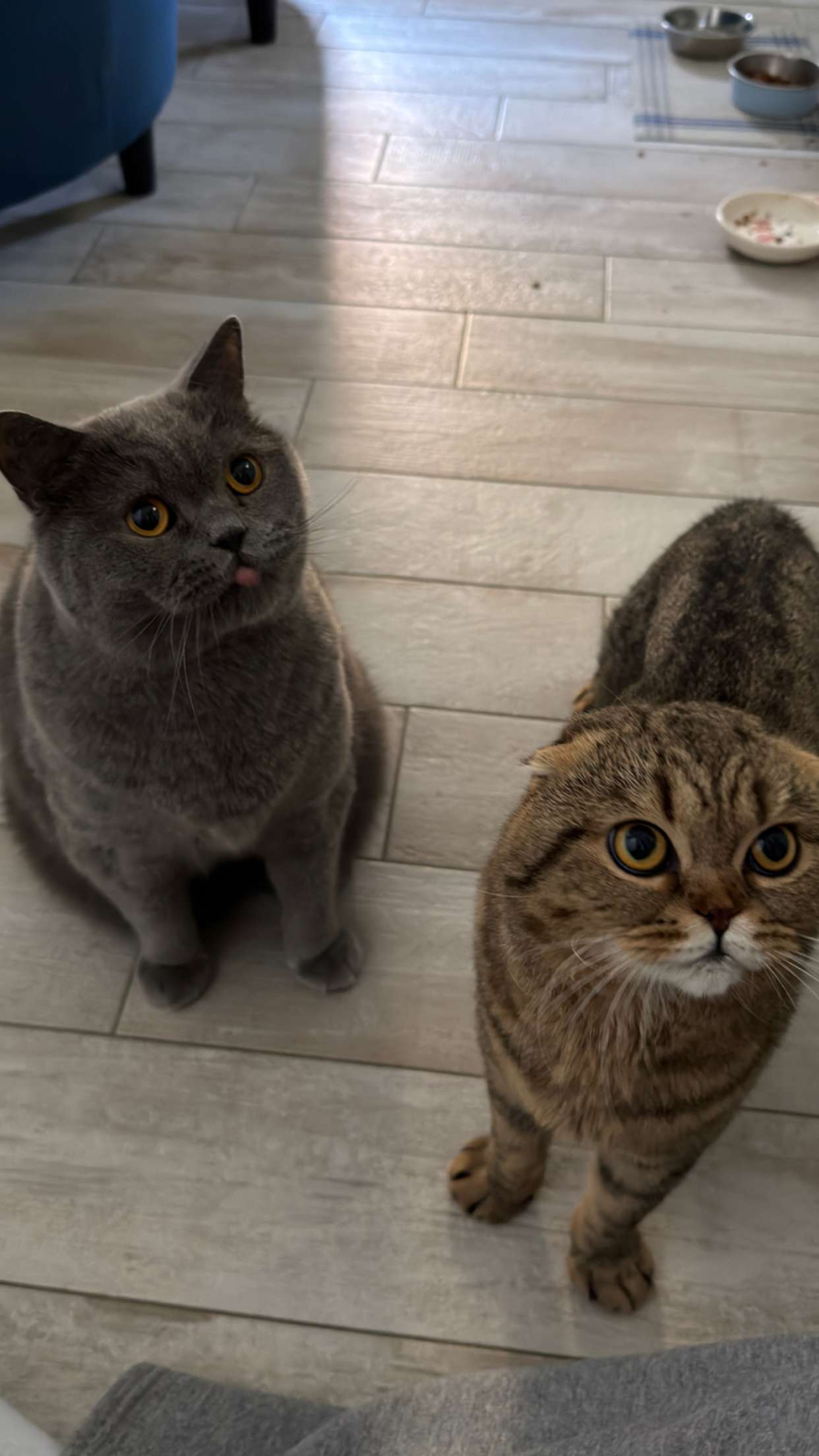 emelye.ender snapchat image archive image