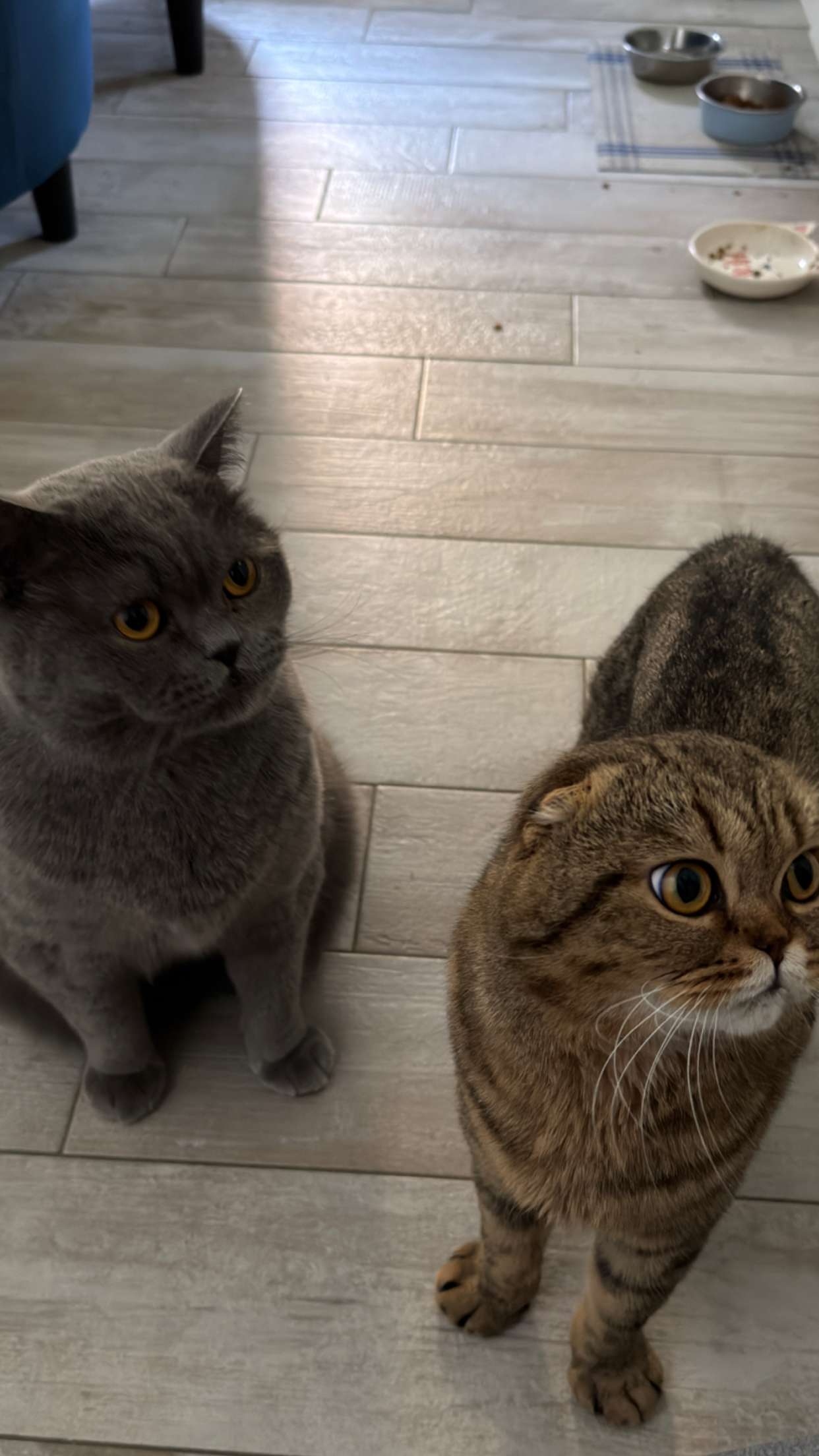 emelye.ender snapchat image archive image