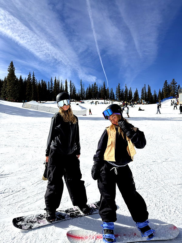 emelye.ender image ~ Altpins