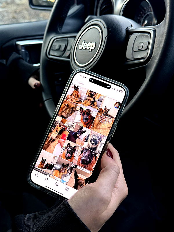 emelye.ender image ~ Altpins