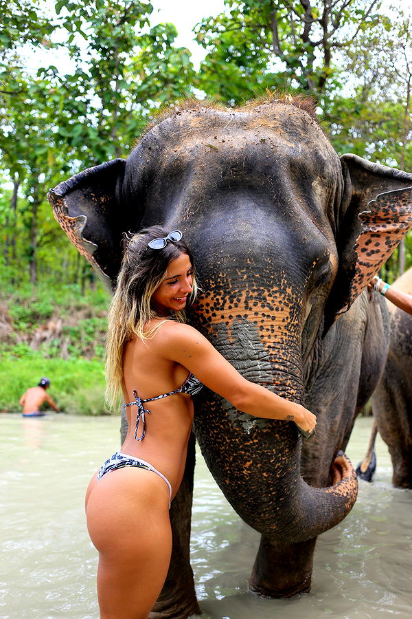 emelye.ender image ~ Altpins