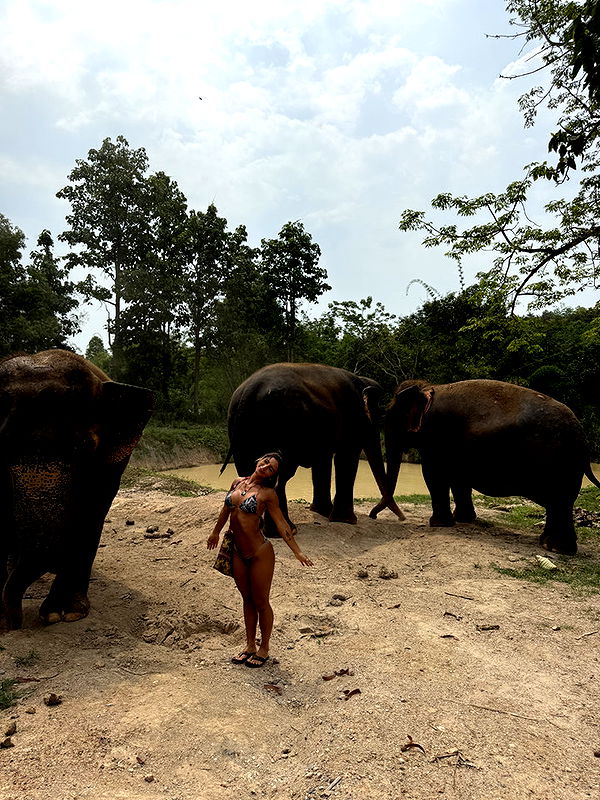 emelye.ender image ~ Altpins