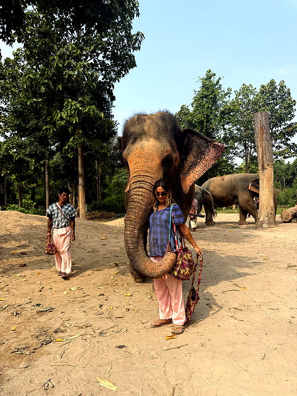 emelye.ender image ~ Altpins