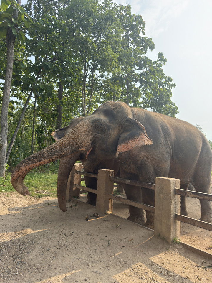 emelye.ender snapchat image archive image