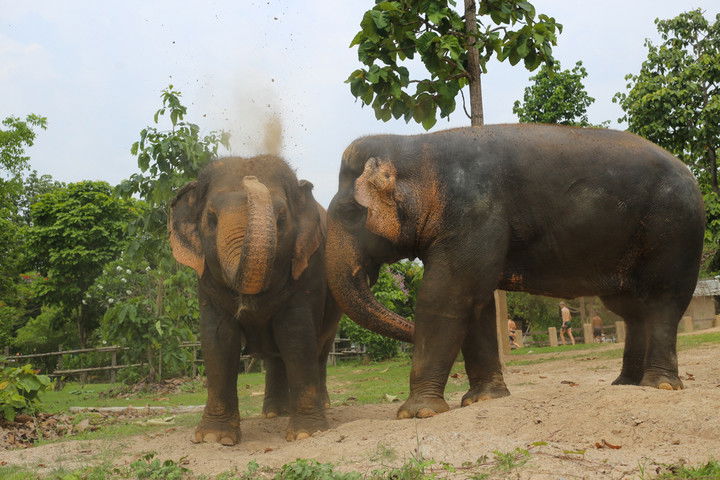 emelye.ender snapchat image archive image