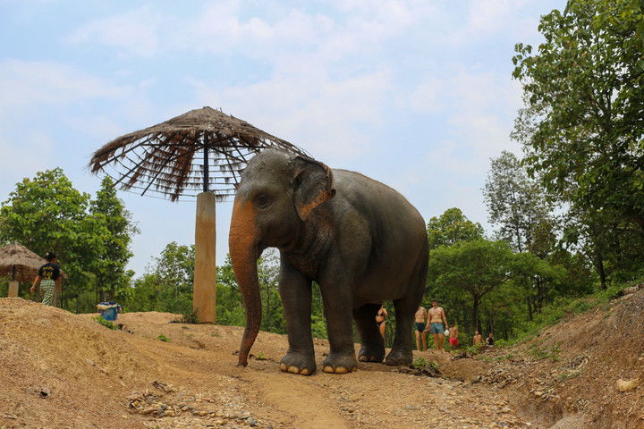 emelye.ender snapchat image archive image