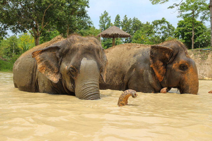 emelye.ender snapchat image archive image