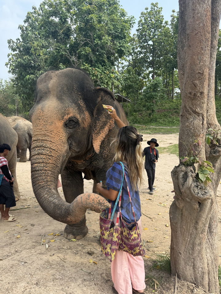 emelye.ender snapchat image archive image